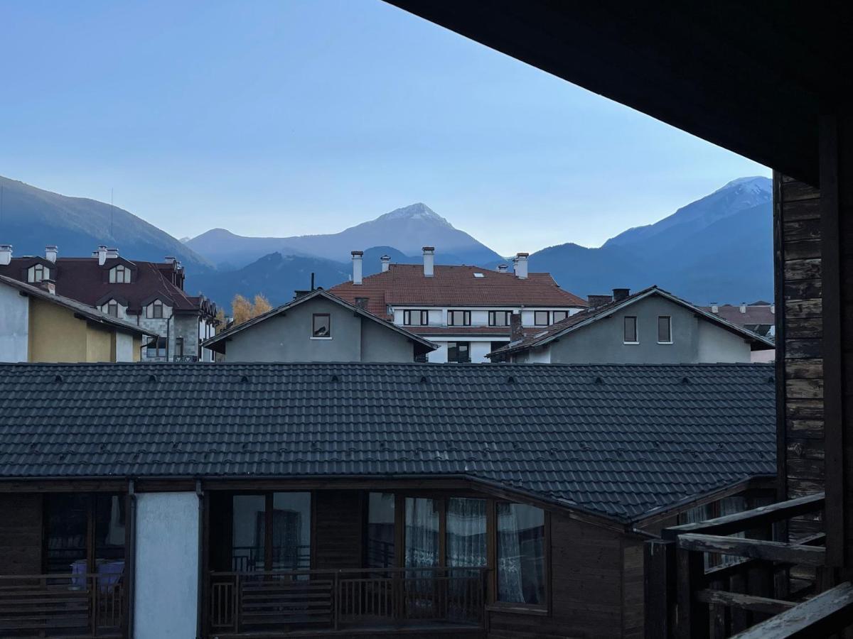 Adeona Wellness Hotel By Asteri Hotels Bansko Buitenkant foto